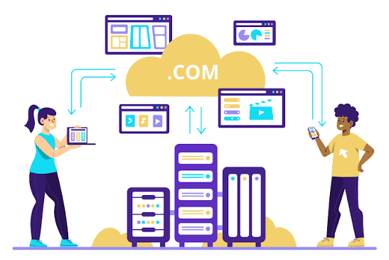 Domain & Web Hosting